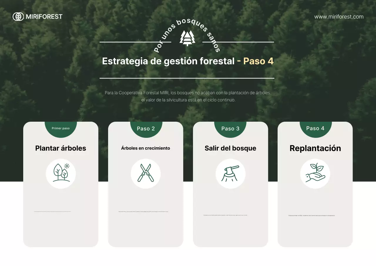 Guía sencilla y ecológica para la protección del medio ambiente