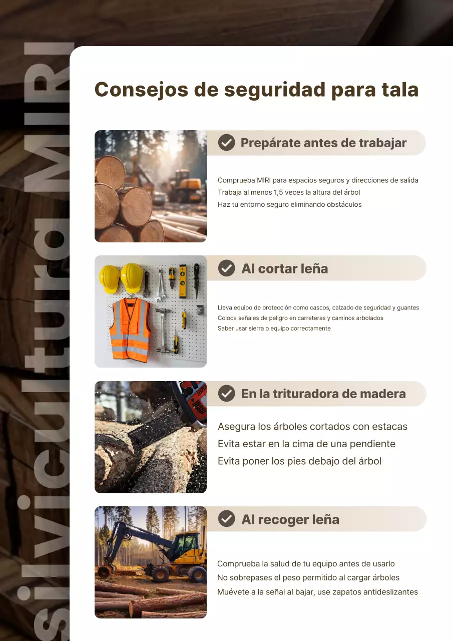 Pautas de seguridad de Beige Clean