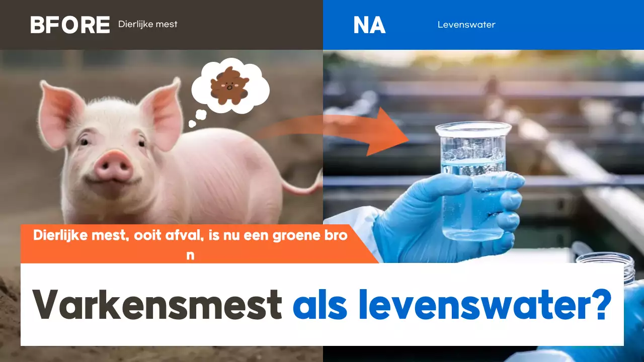 Campagne voor een Blauwe Moderne Omgeving