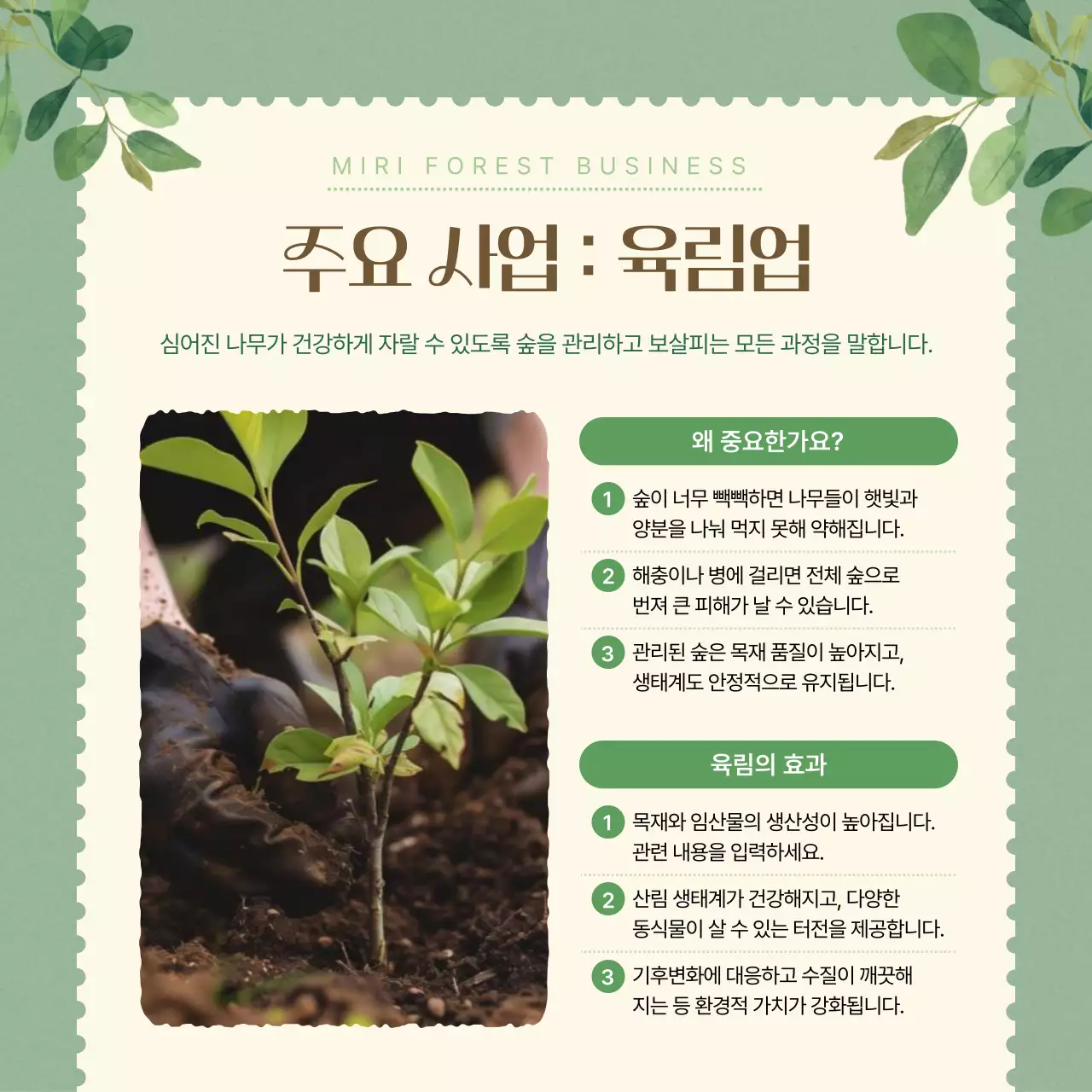 초록 심플 사업 소개 홍보