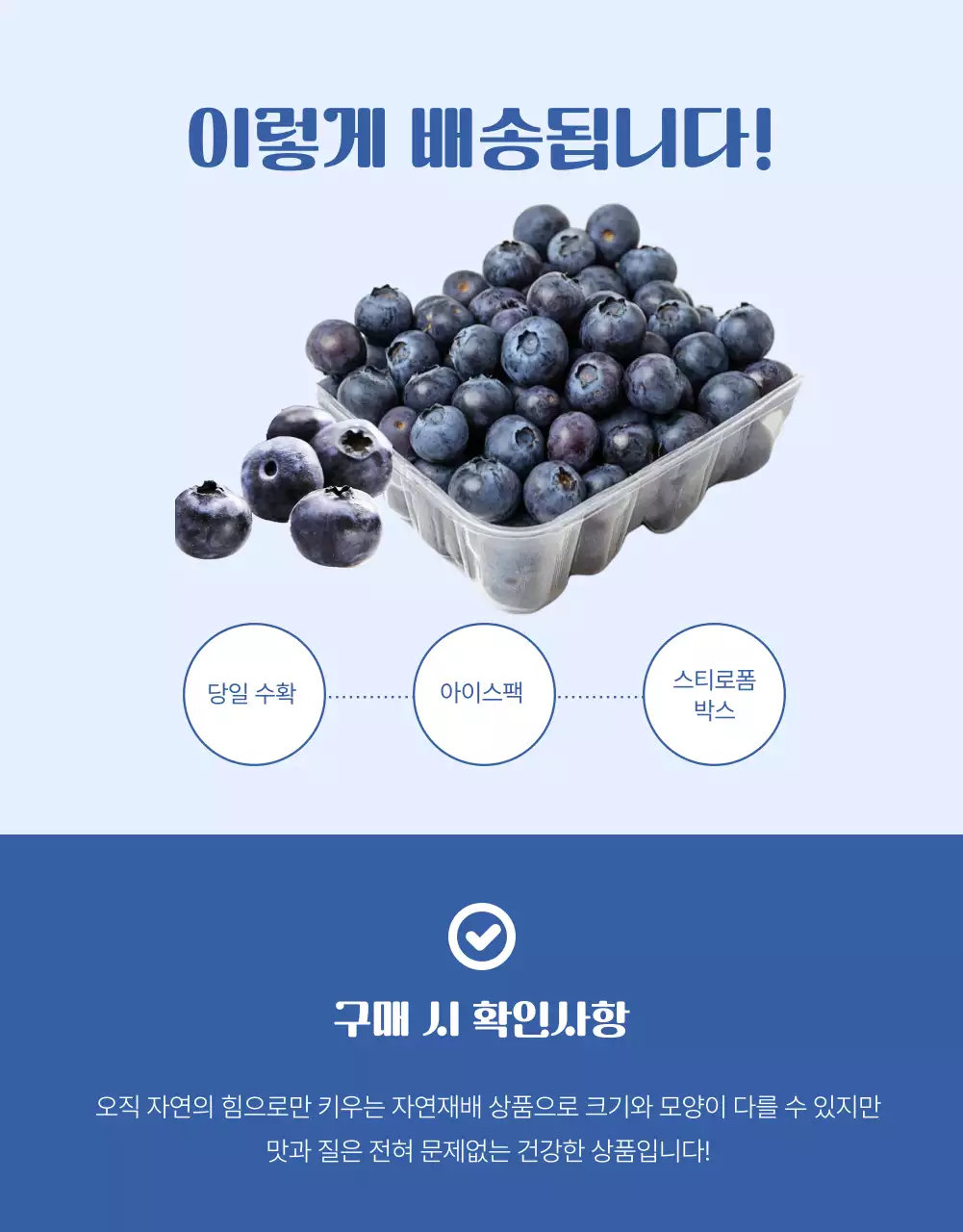 하늘색 모던 유기농 농산물 안내