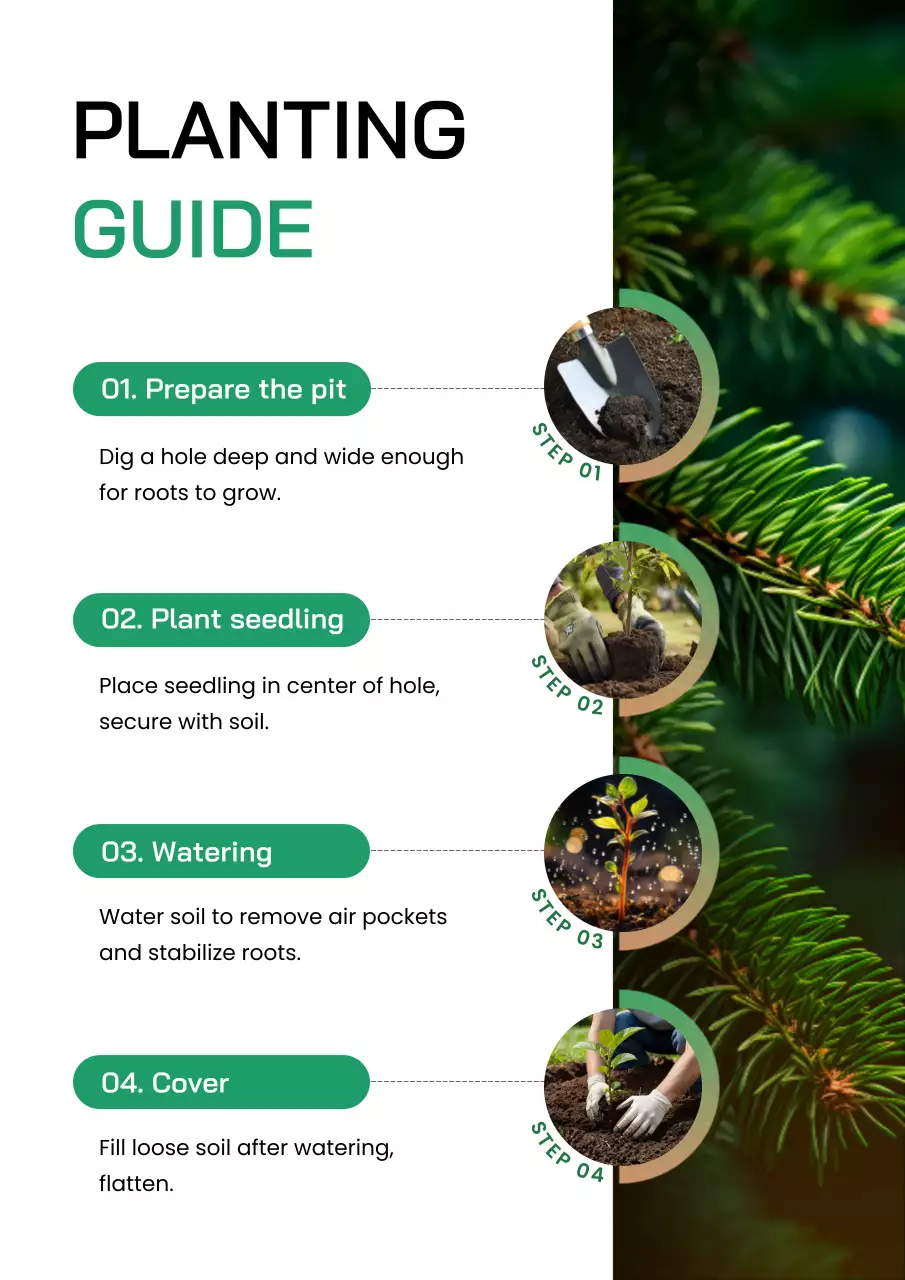green modern planting guide