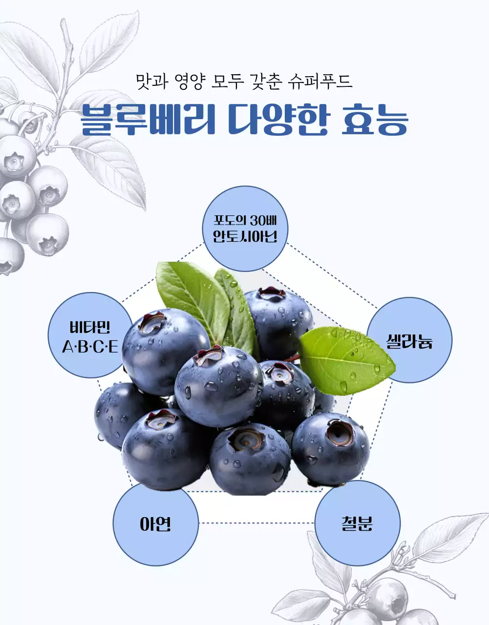 하늘색 모던 유기농 농산물 안내