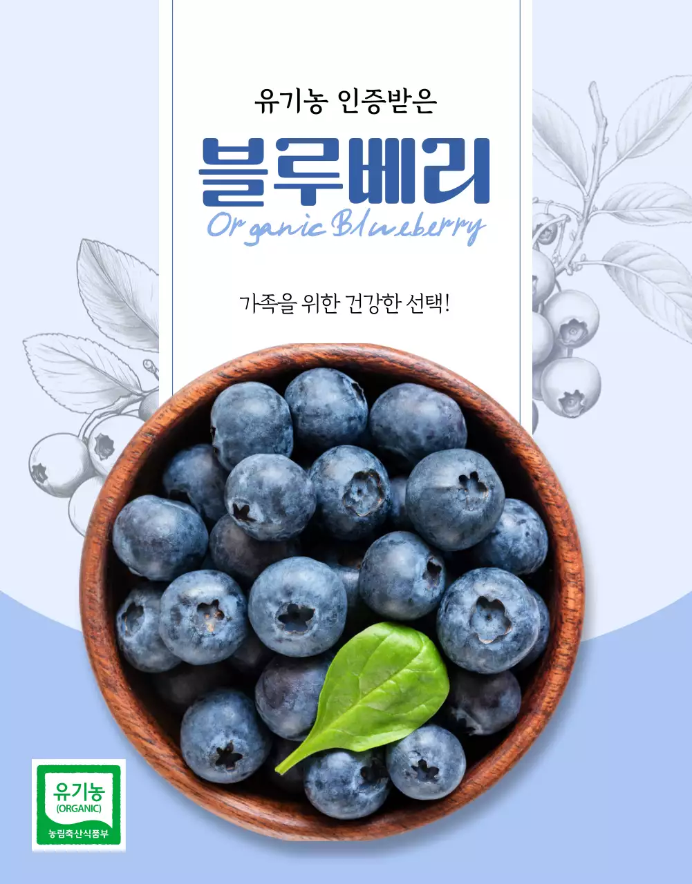 하늘색 모던 유기농 농산물 안내