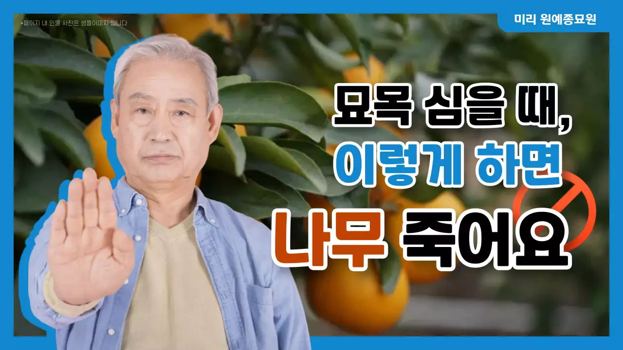 파랑 강조 원예 설명