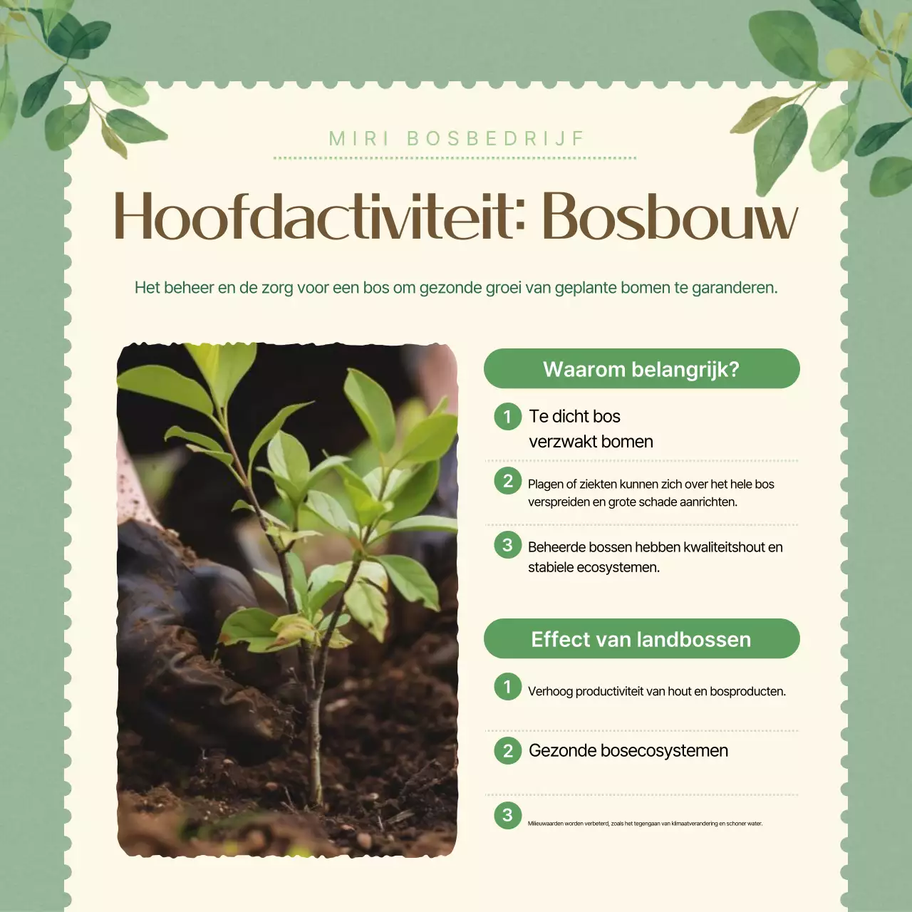 Groene Eenvoudige Bedrijfsintroductie Promotie