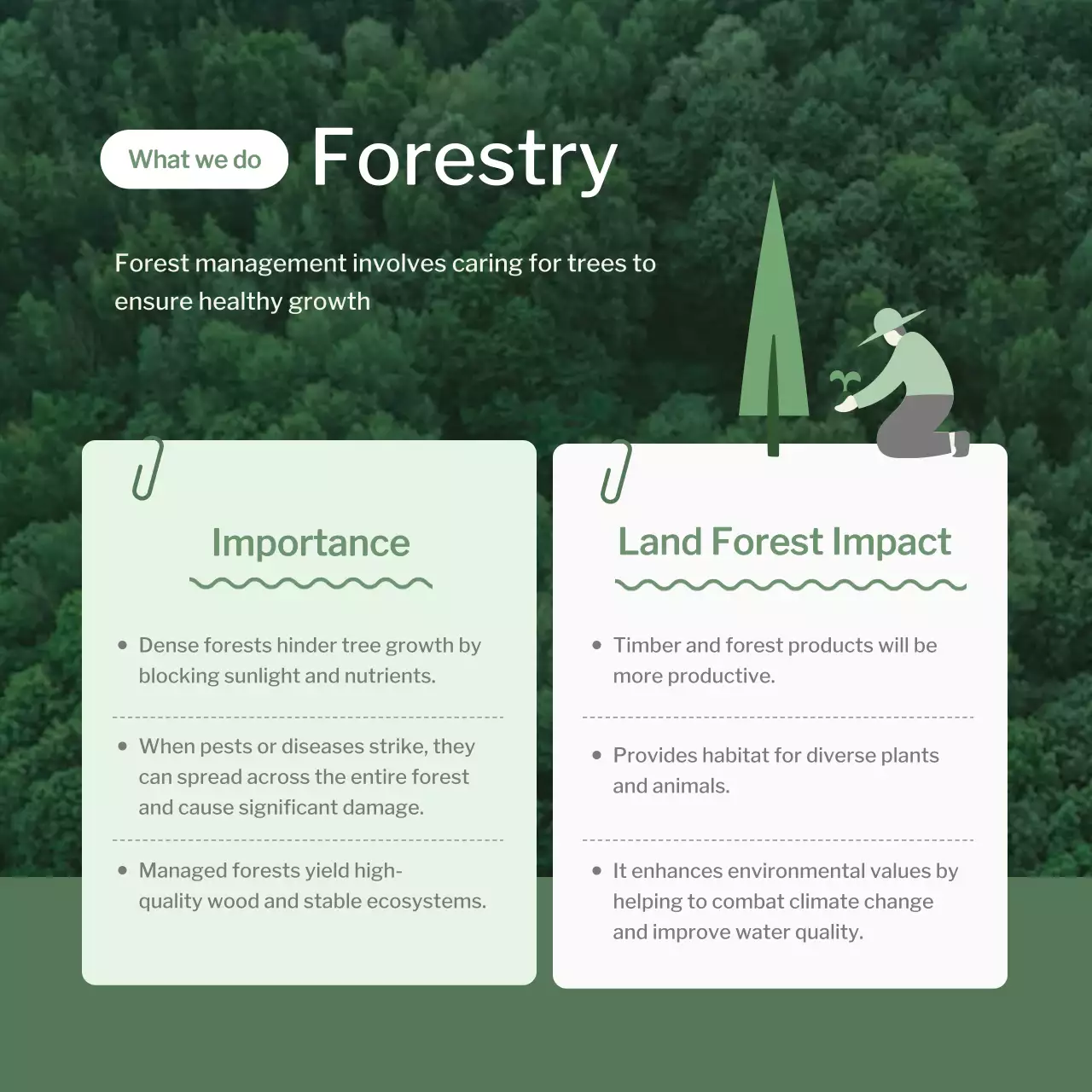 green professional forestry overview