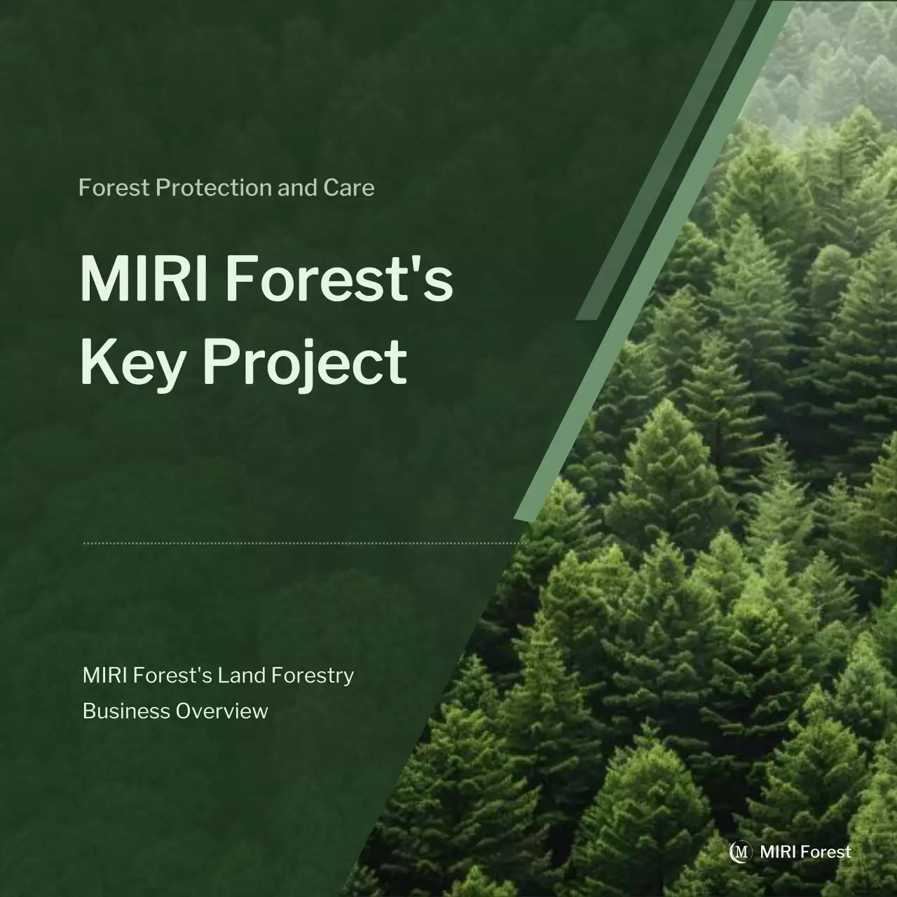green professional forestry overview
