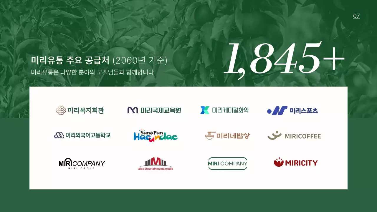 초록의 심플한 식품 유통 제안서