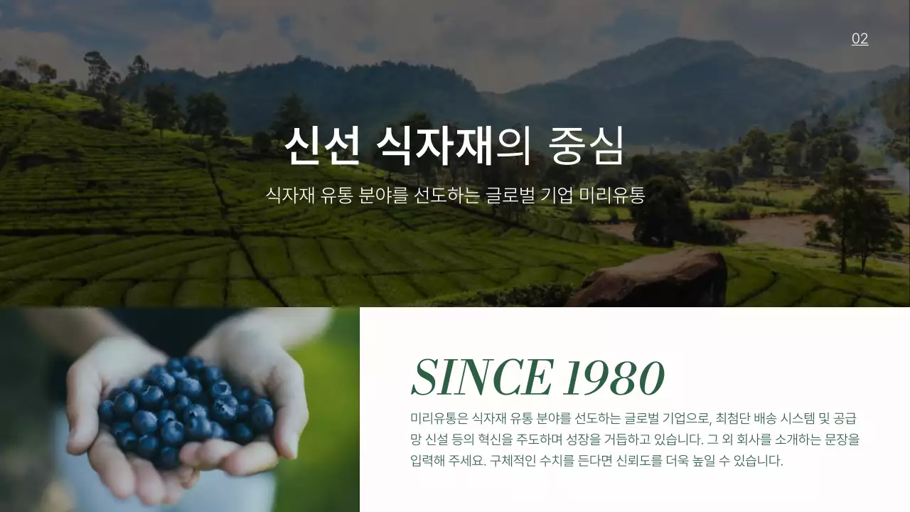 초록의 심플한 식품 유통 제안서