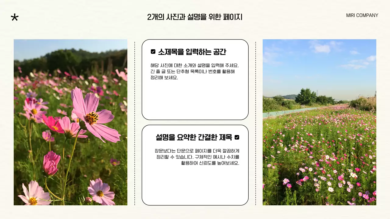 검정과 아이보리 배경에 모던한 가을 꽃 그래픽이 있는 브랜드 포트폴리오