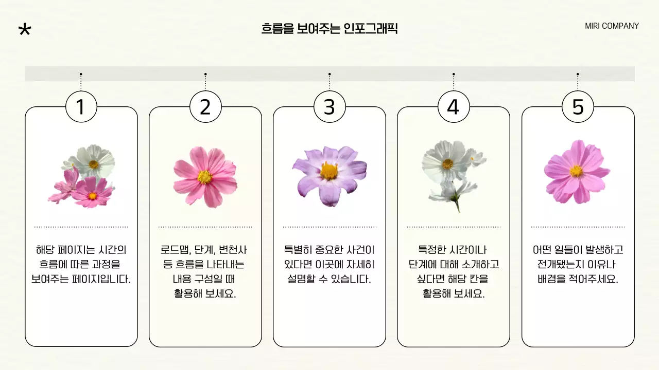 검정과 아이보리 배경에 모던한 가을 꽃 그래픽이 있는 브랜드 포트폴리오