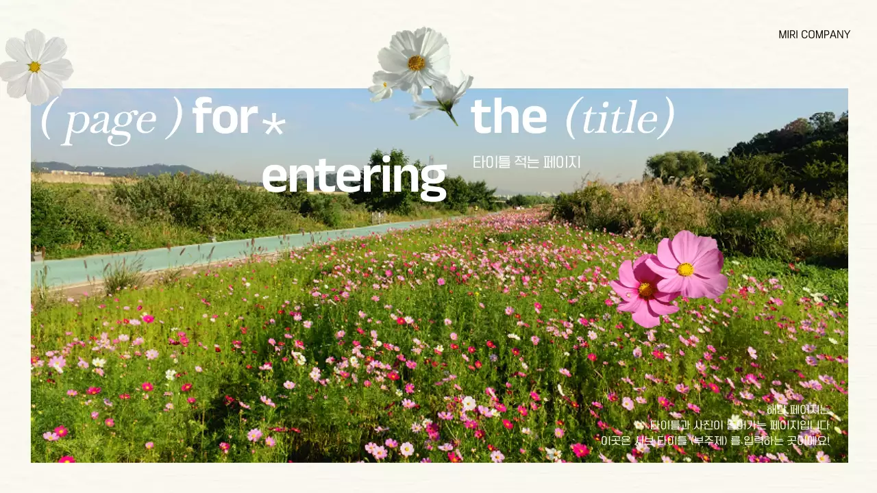 검정과 아이보리 배경에 모던한 가을 꽃 그래픽이 있는 브랜드 포트폴리오