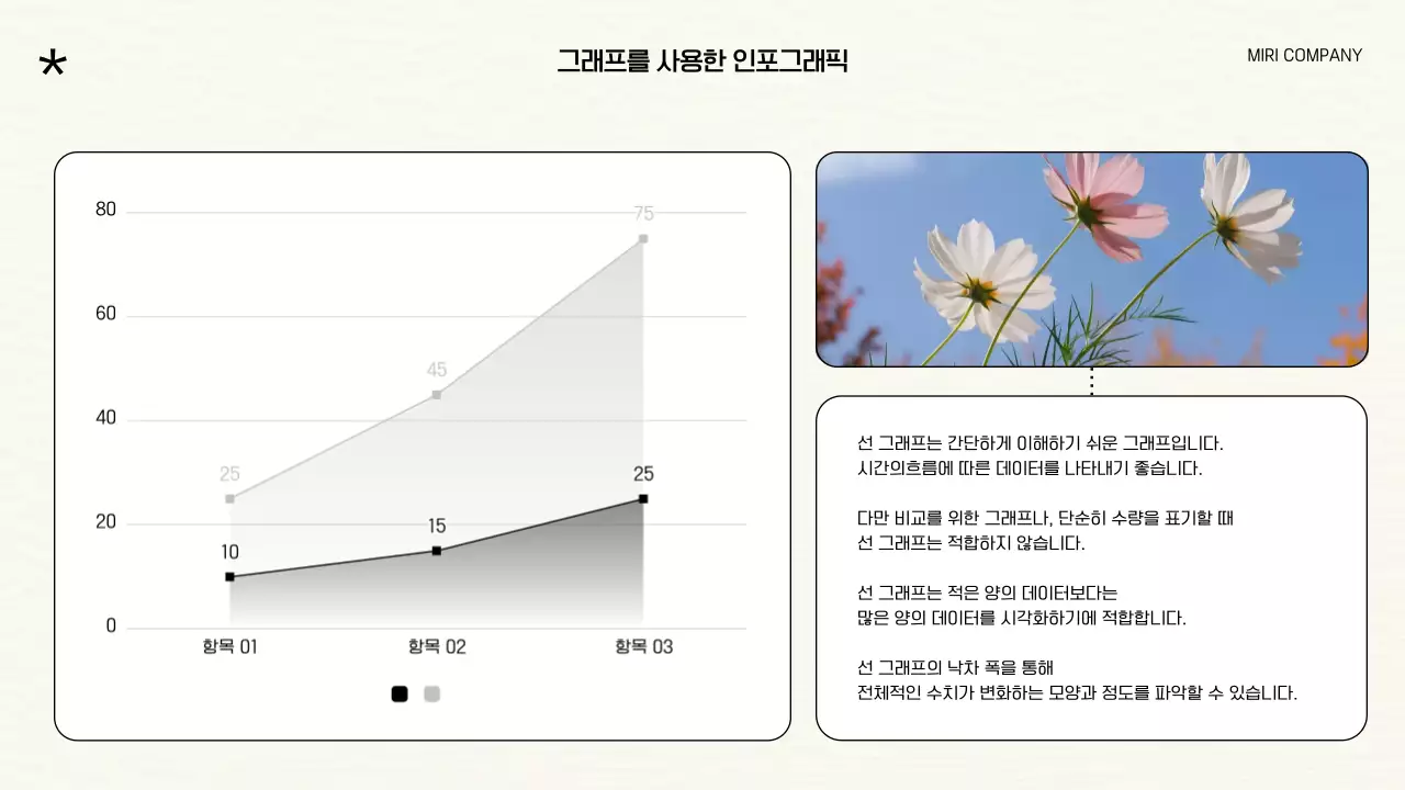 검정과 아이보리 배경에 모던한 가을 꽃 그래픽이 있는 브랜드 포트폴리오