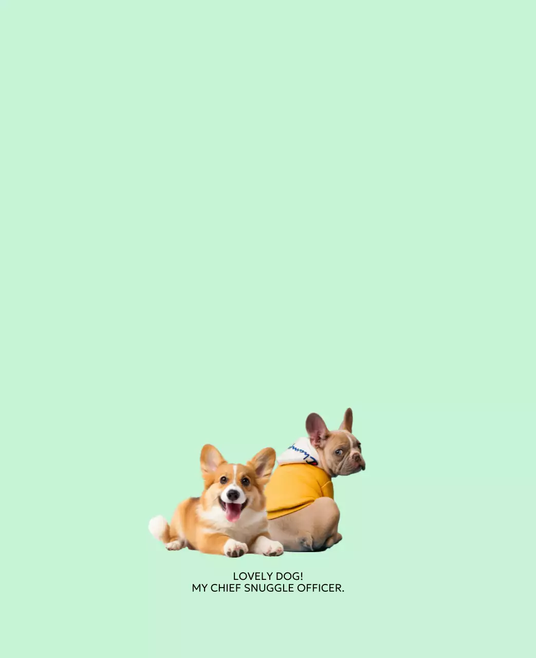 베이지 아기자기한 반려동물 달력