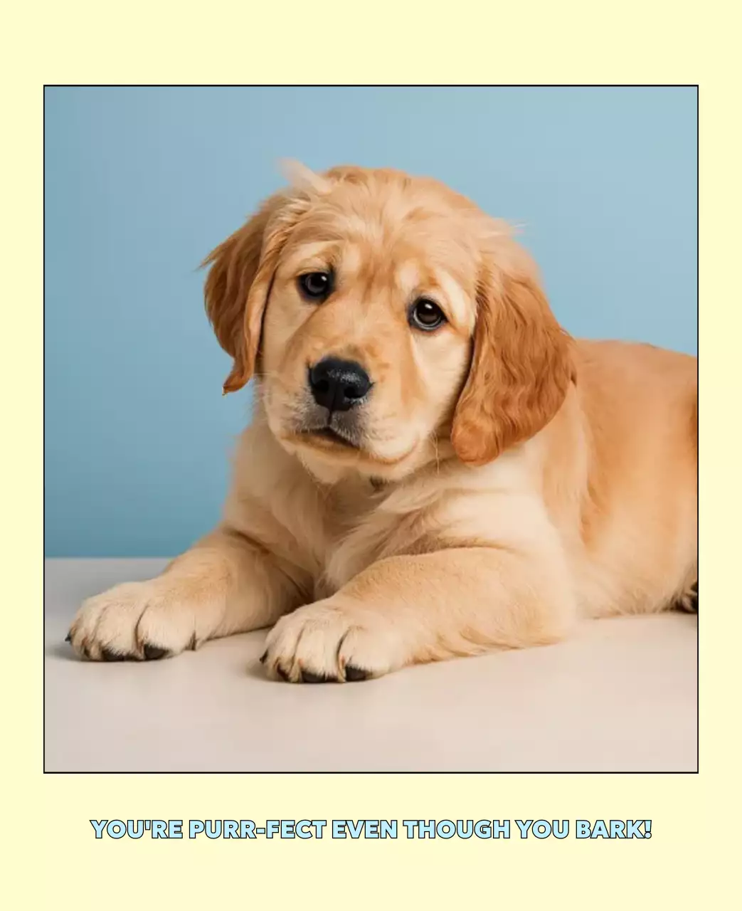 베이지 아기자기한 반려동물 달력