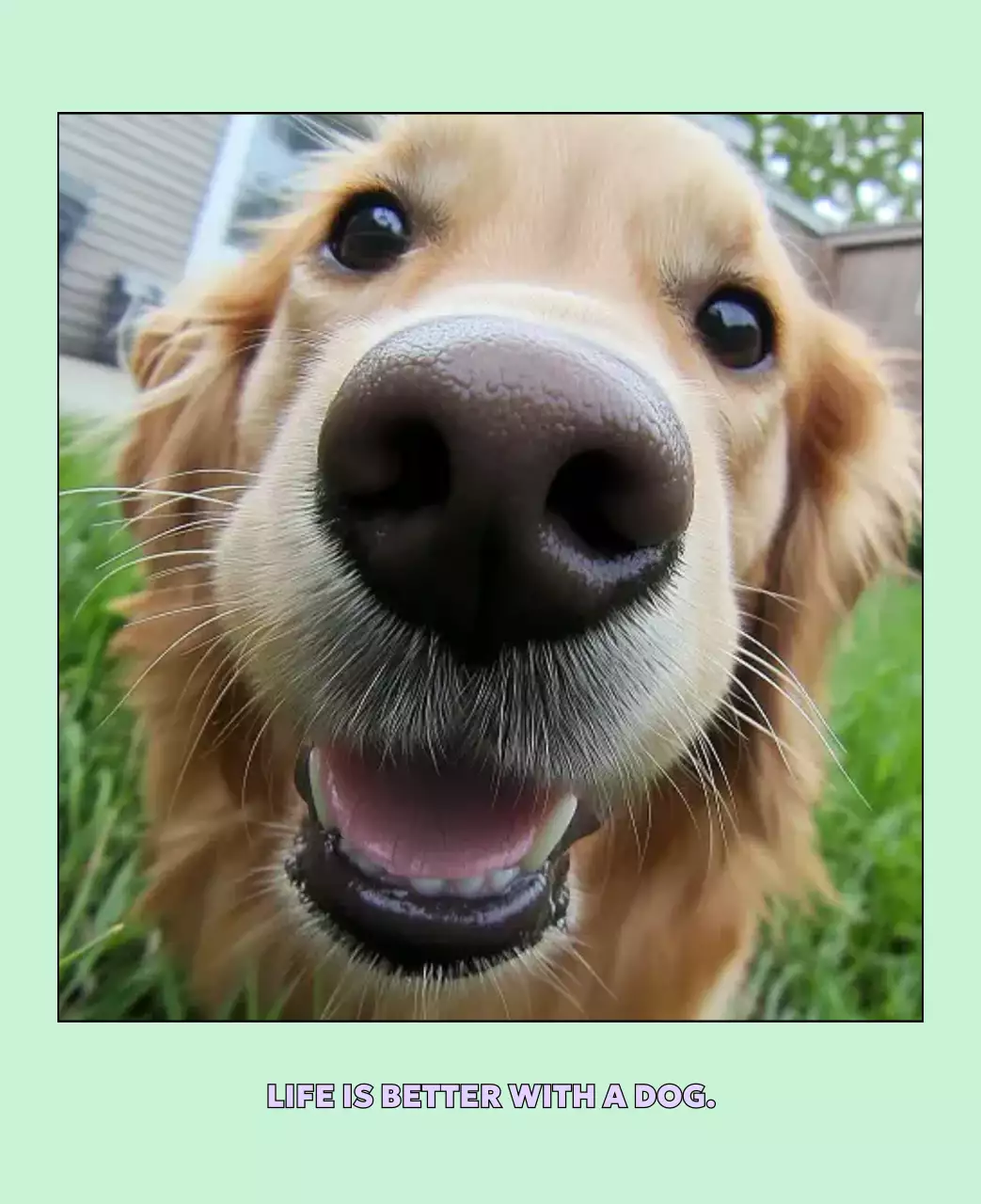 베이지 아기자기한 반려동물 달력