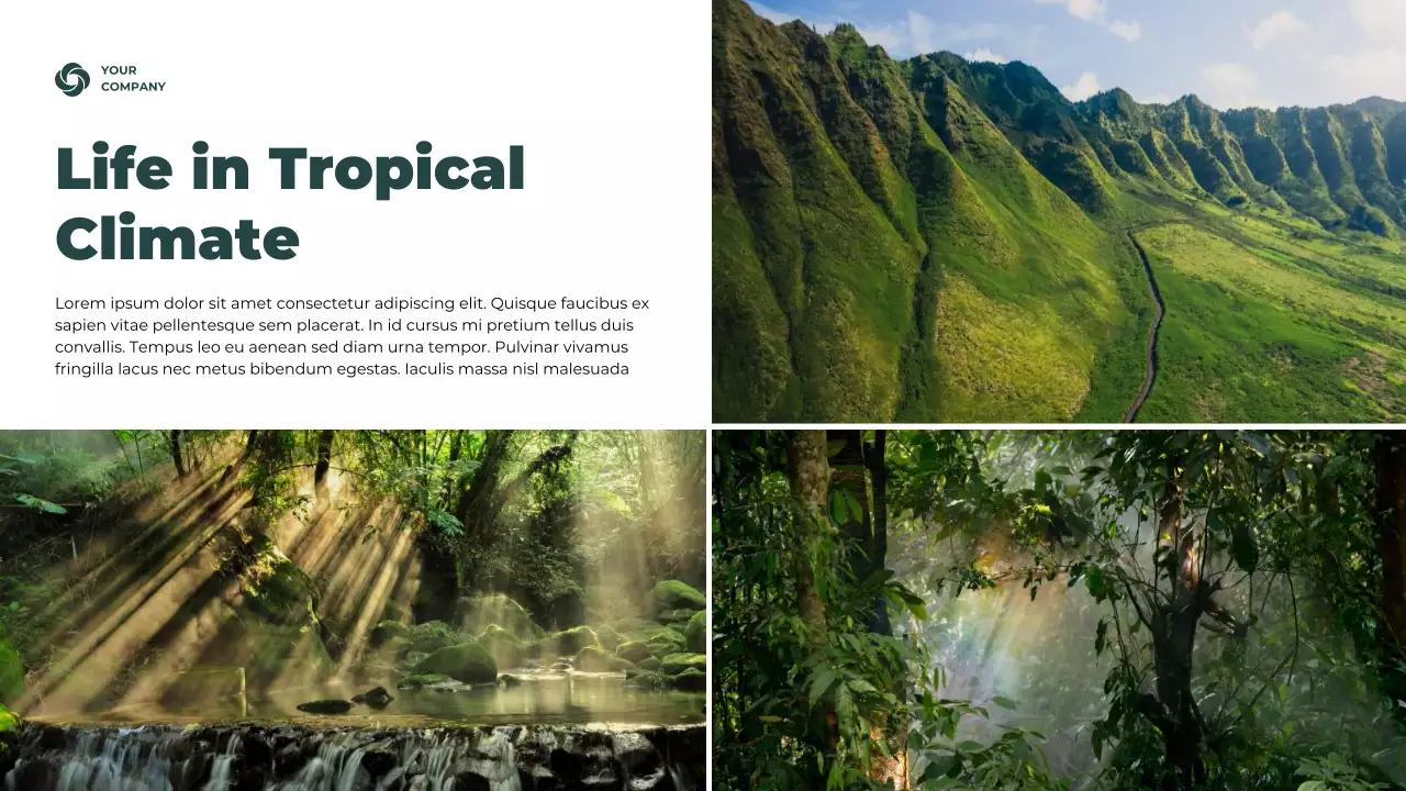 Green Rustic Climate Information Presentation