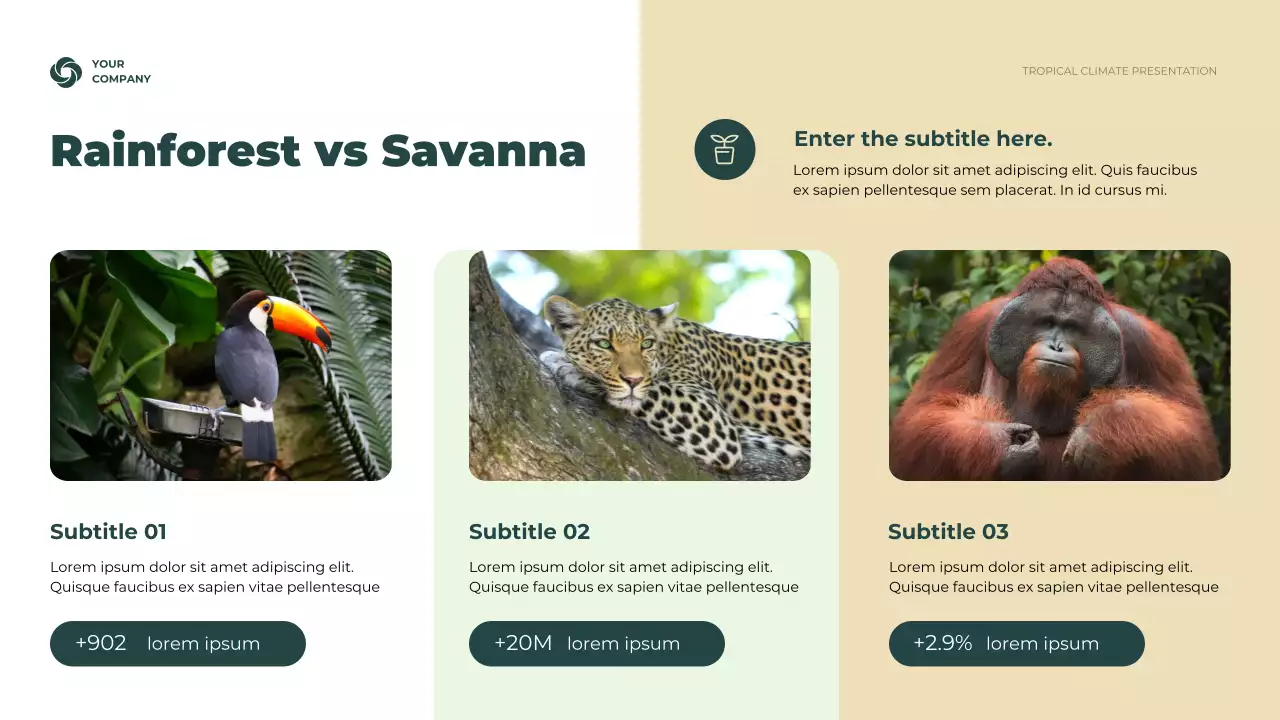 Green Rustic Climate Information Presentation