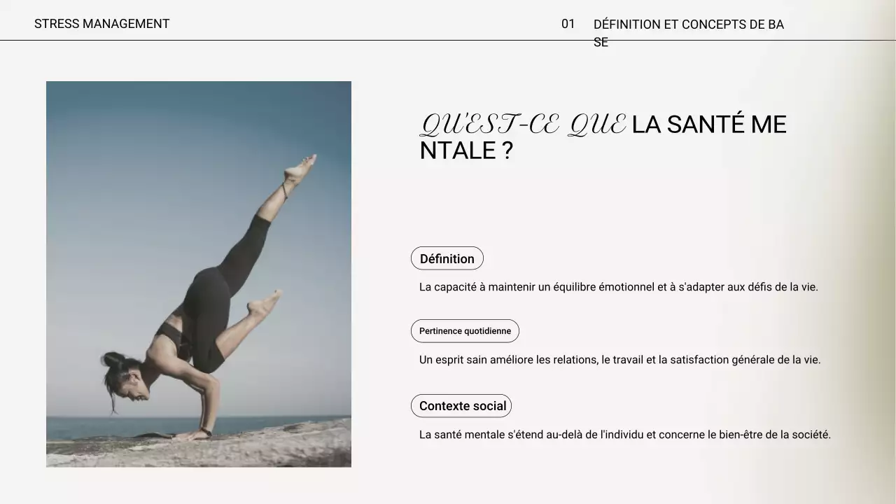 Présentation de conférence sur le stress minimal beige