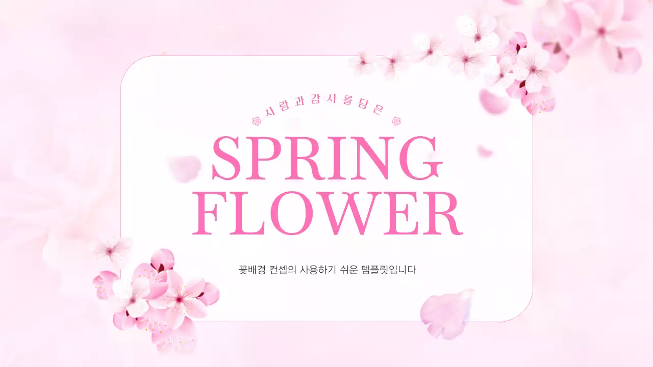 핑크색과 자연적인 봄 벛꽃 발표자료