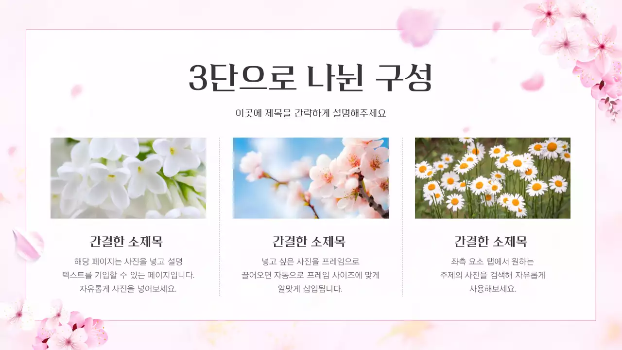 핑크색과 자연적인 봄 벛꽃 발표자료