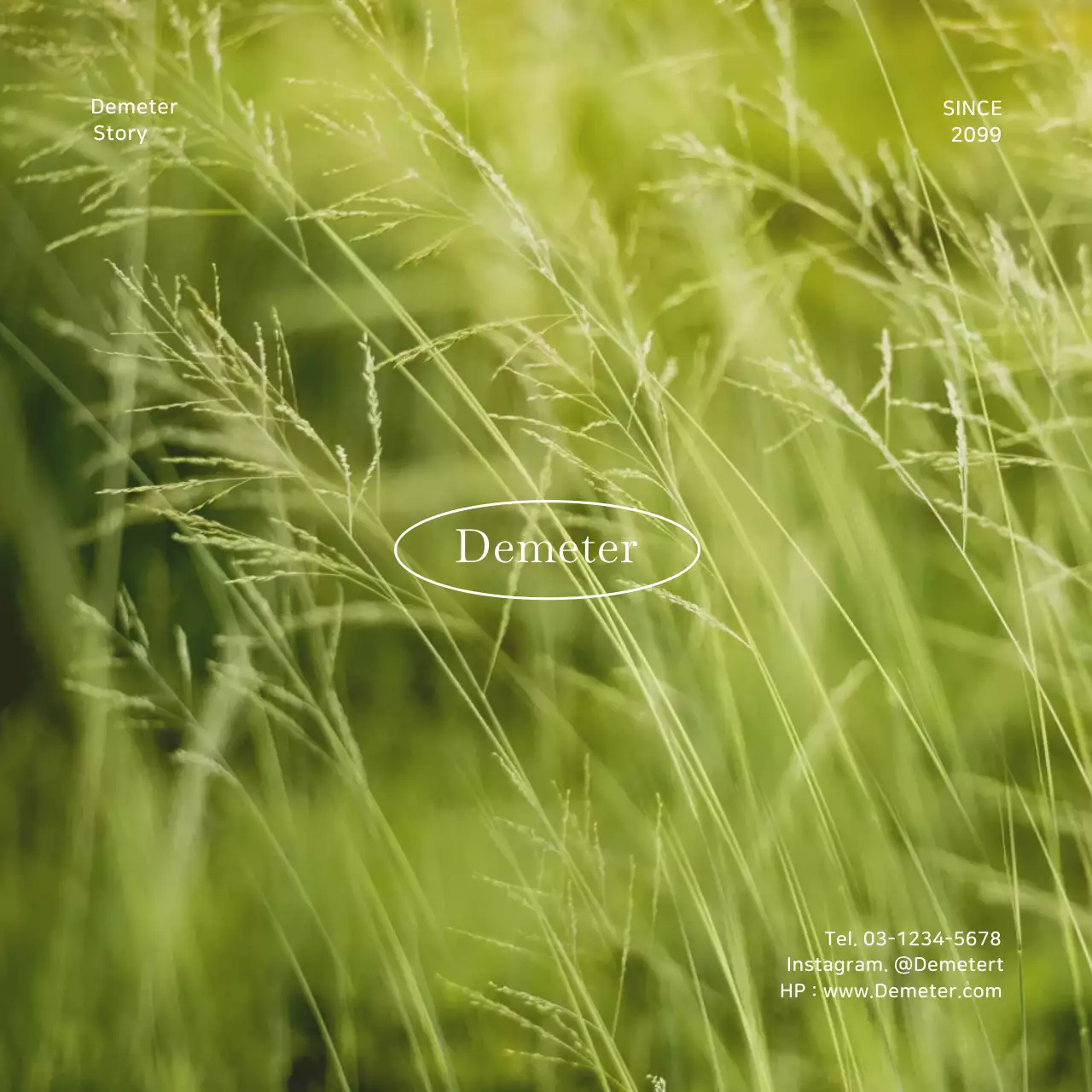 緑 シンプル 自然 ロゴ