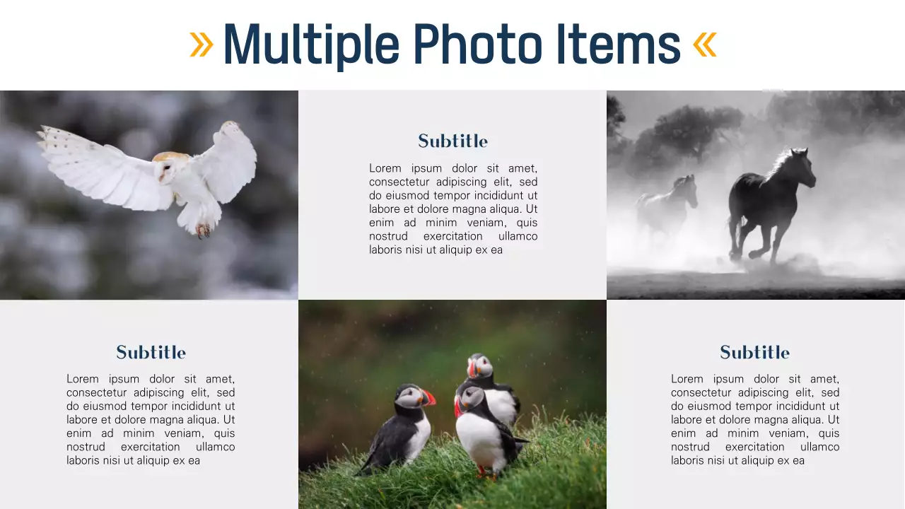 Bahan Halaman Tata Letak Serbaguna Modern Hitam dan Biru