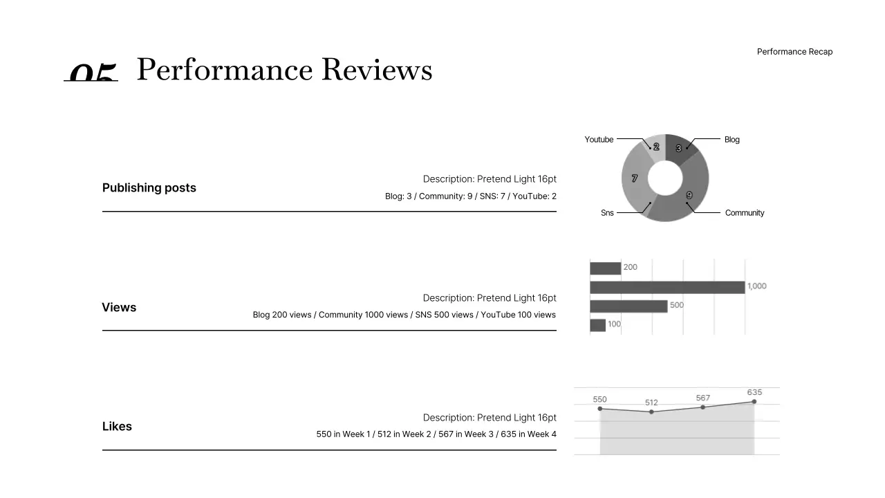 Black Minimal Performance Report Document Presentation