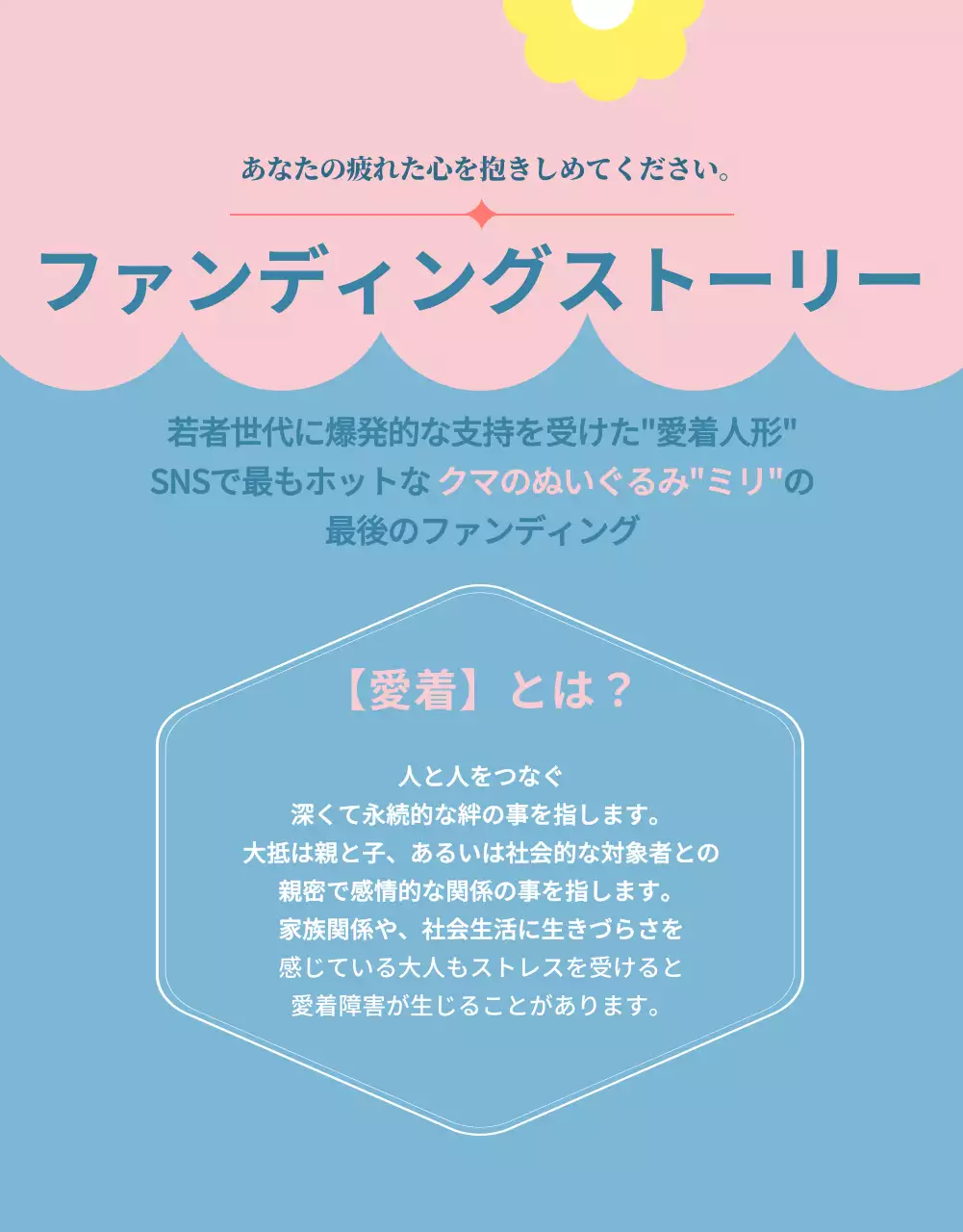 ピンクと水色の可愛らしい人形のファンディング紹介書