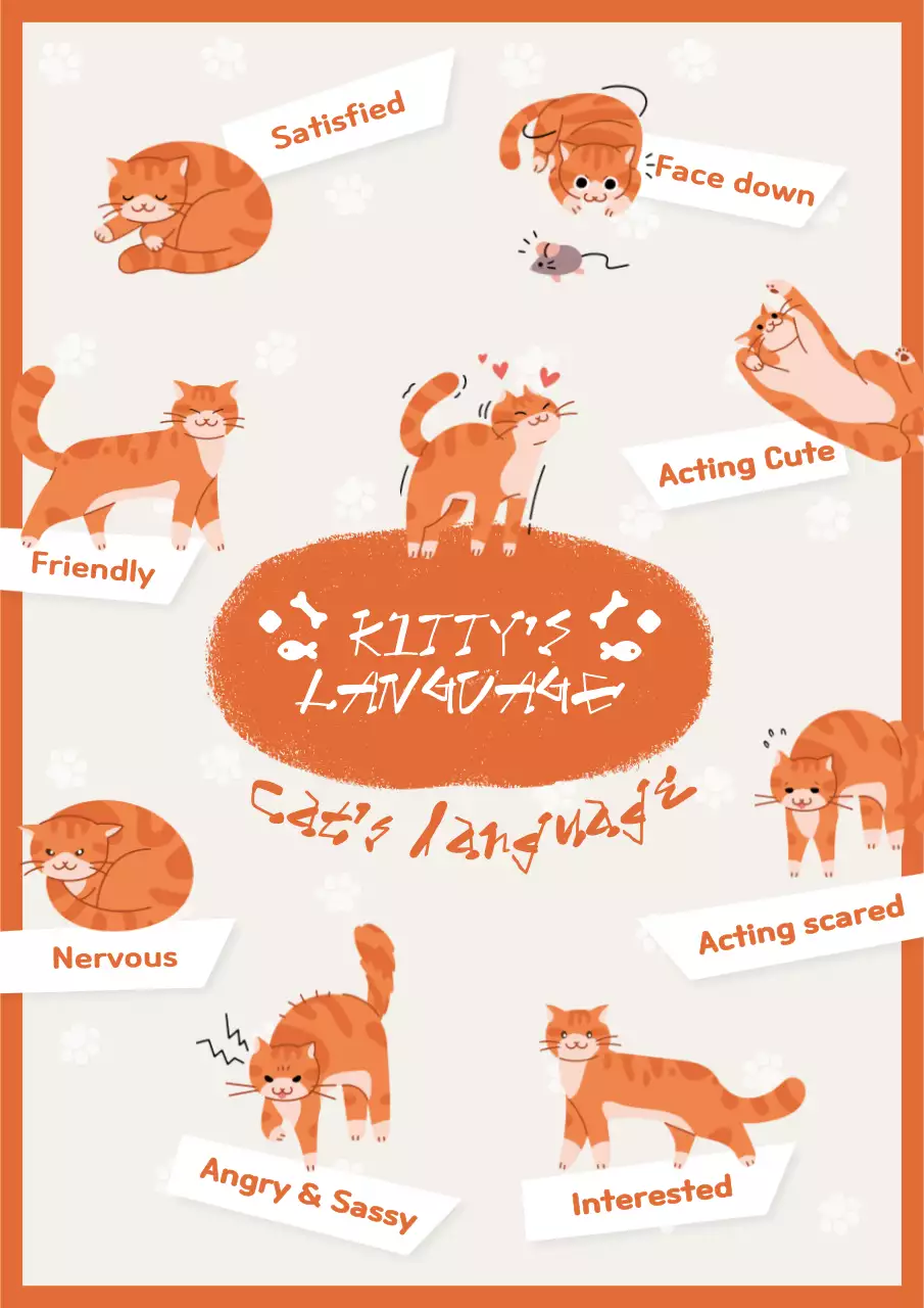 Orange Cute Cat Guide Poster