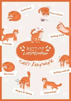 Orange Cute Cat Guide Poster