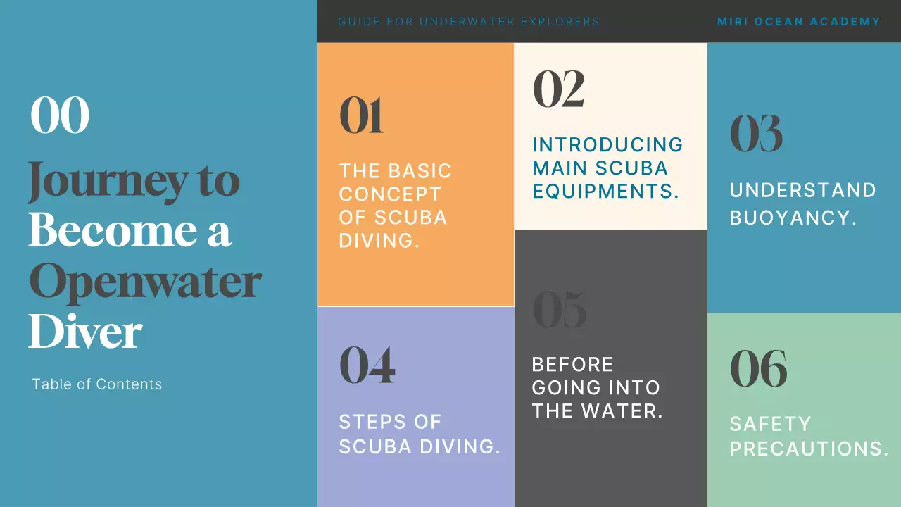 컬러풀한 일러스트와 기하학적인 컨셉을 가진 스쿠버 다이빙 프로그램 소개