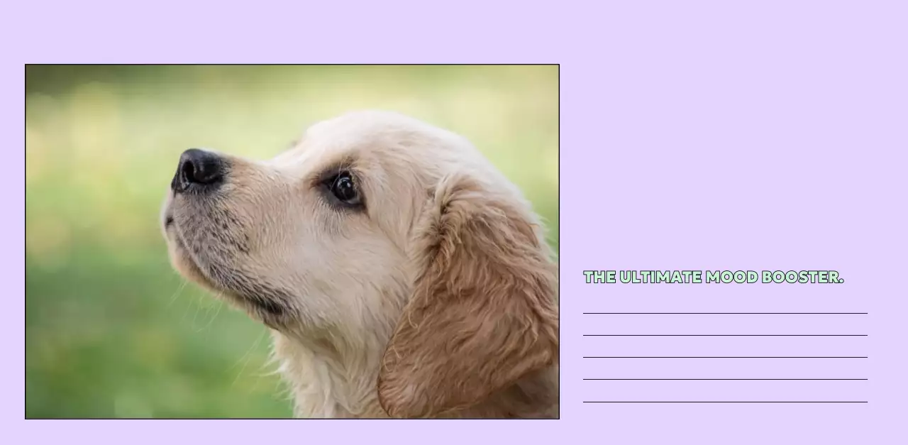 노랑 귀여운 반려동물 캘린더