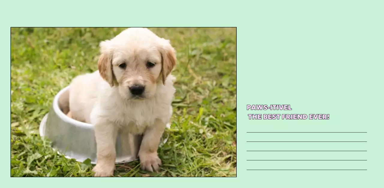 노랑 귀여운 반려동물 캘린더