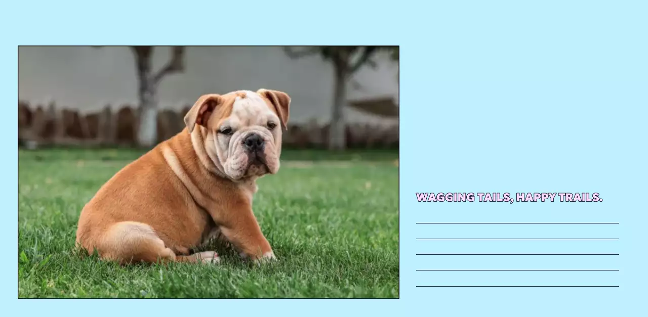 노랑 귀여운 반려동물 캘린더