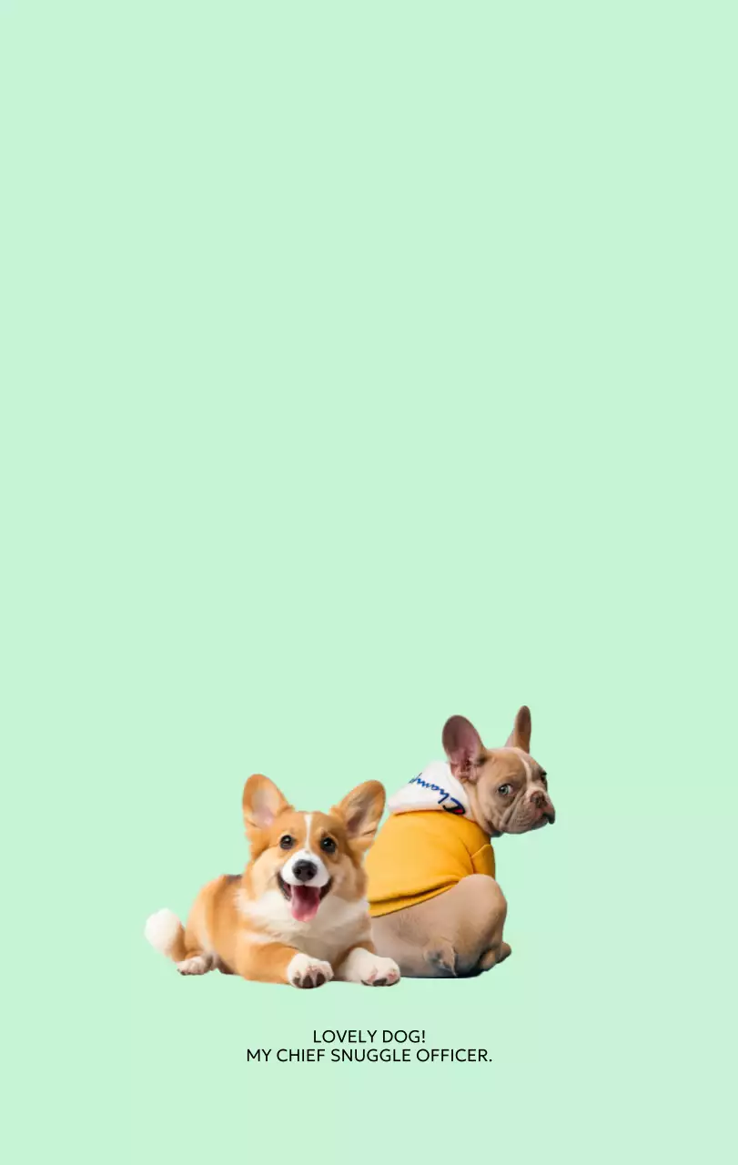 베이지 아기자기한 반려동물 캘린더