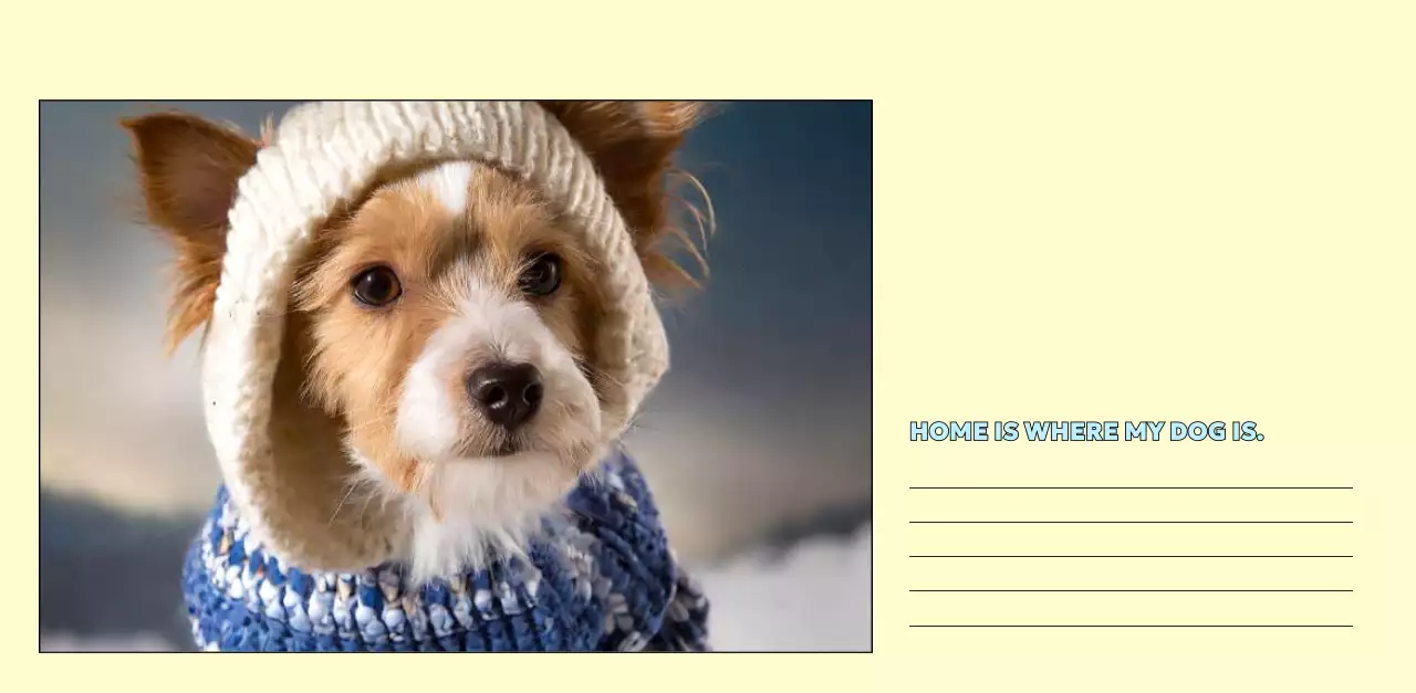 노랑 귀여운 반려동물 캘린더