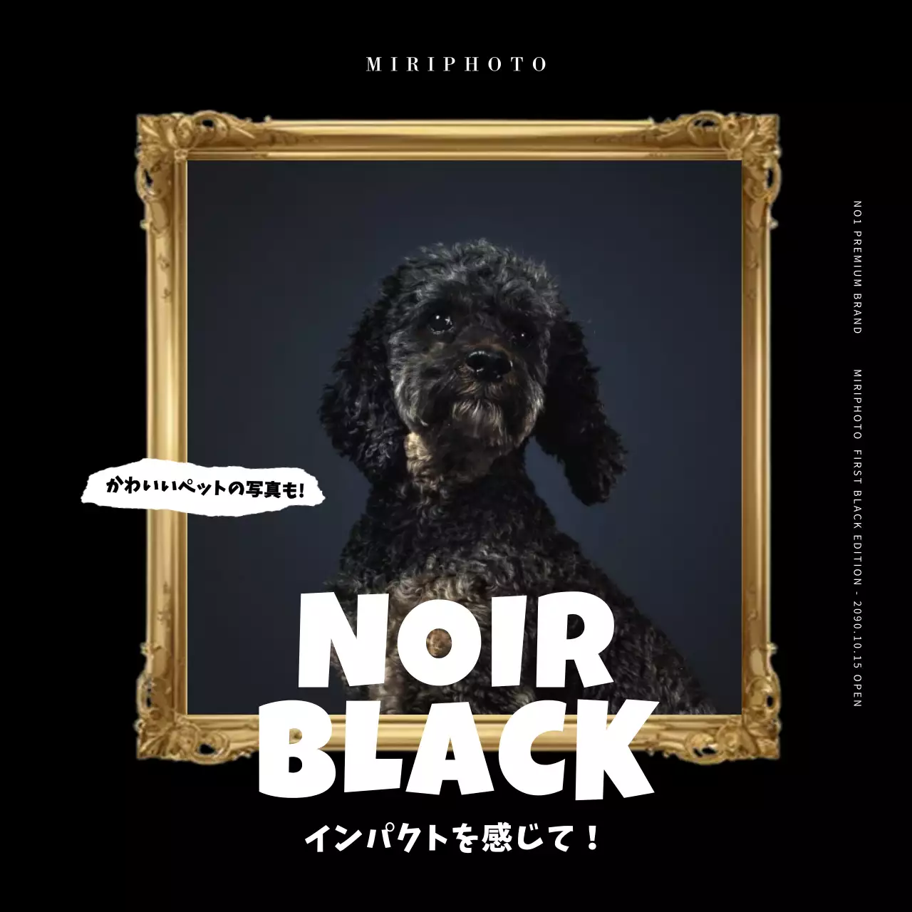 緑 ポップ デザイン パンフレット