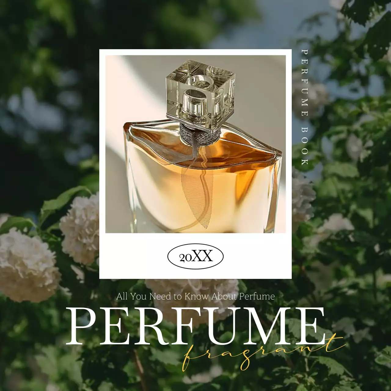 Gold Elegant Perfume Guide Instagram Carousel