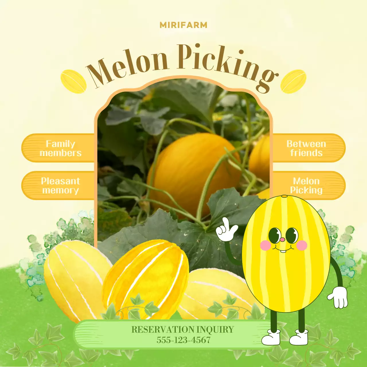 노란색과 연두색의 참외 따기 체험