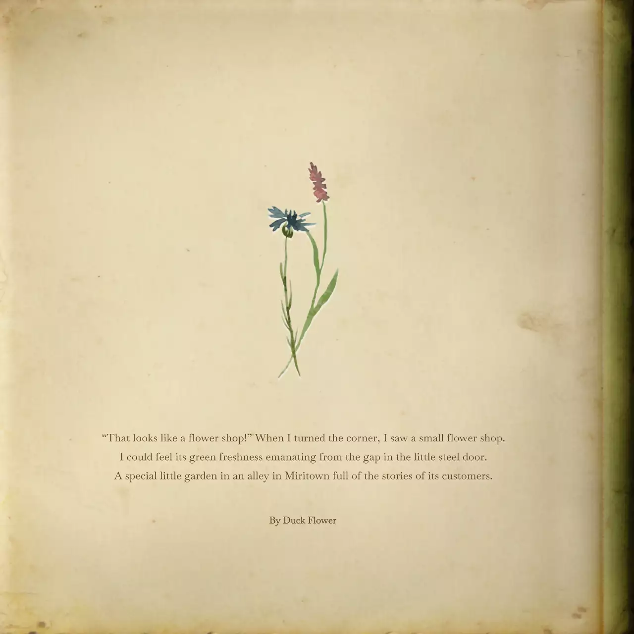 Emotional bundle pack with off-white, faded watercolor fiction book concept