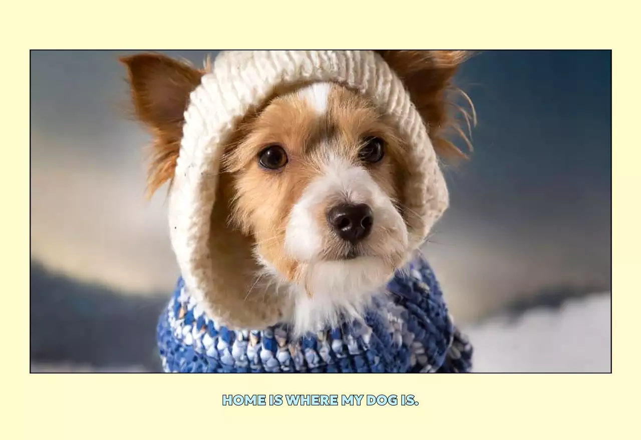 연노랑 귀여운 반려동물 달력