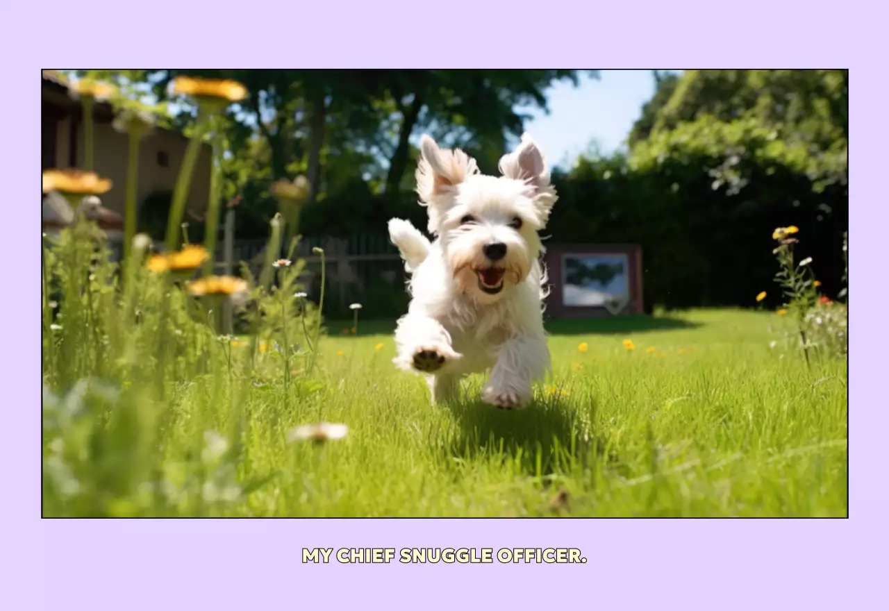 연노랑 귀여운 반려동물 달력