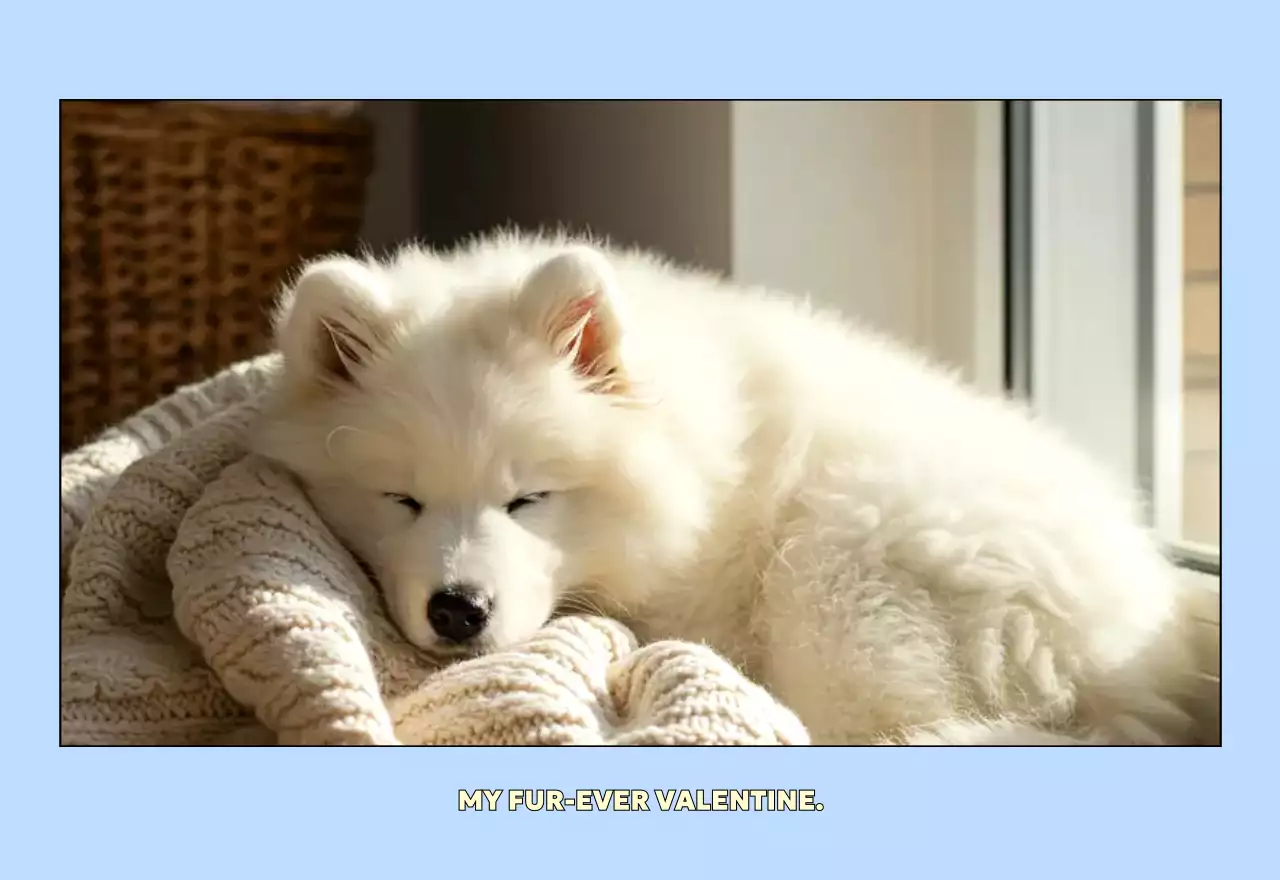 연노랑 귀여운 반려동물 달력