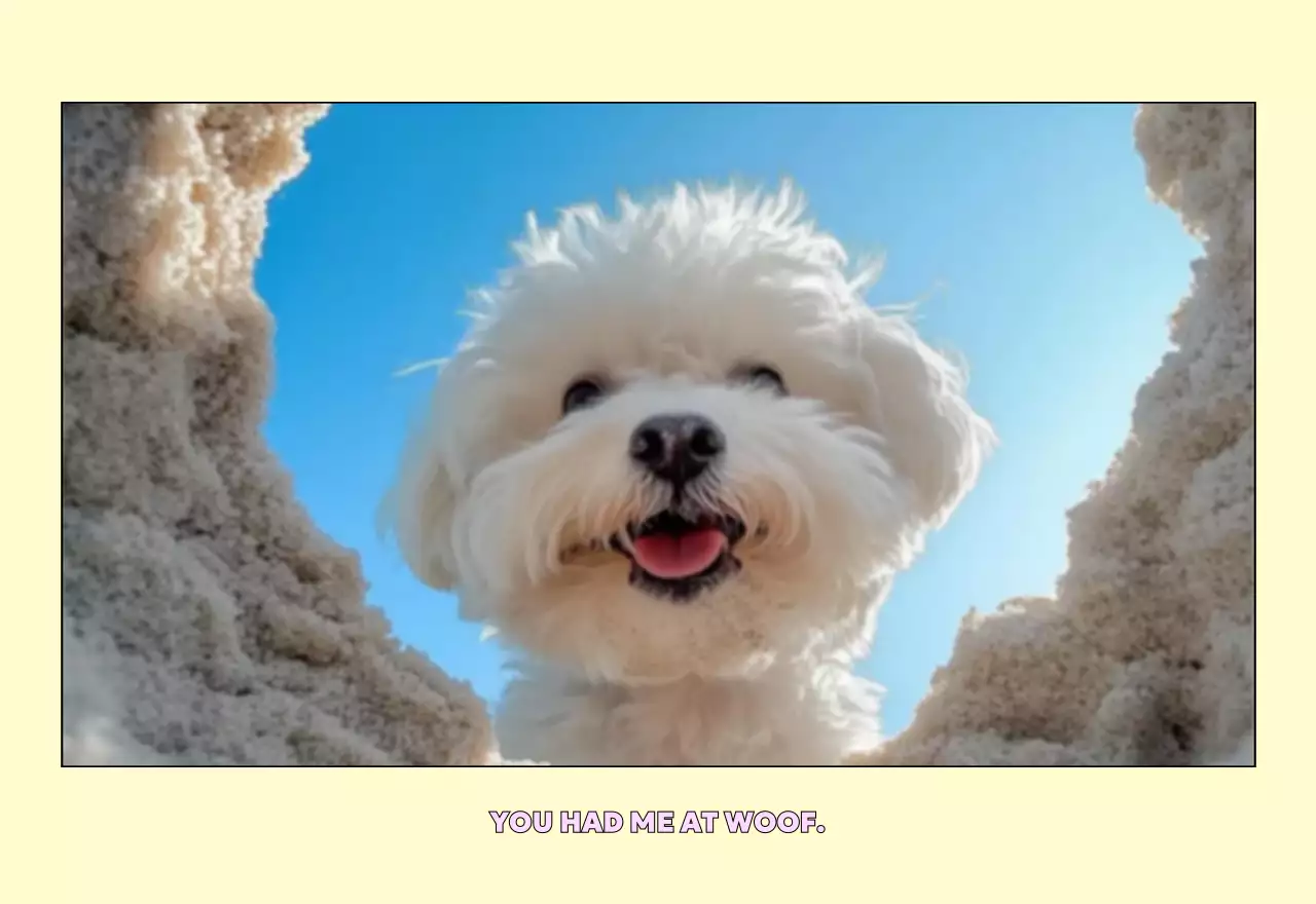 연노랑 귀여운 반려동물 달력