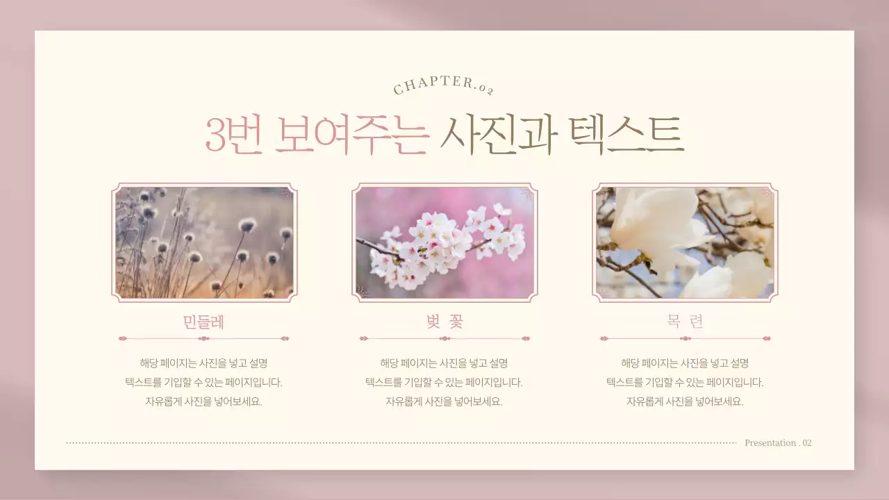 핑크색의 고급스러운 봄꽃 기획서