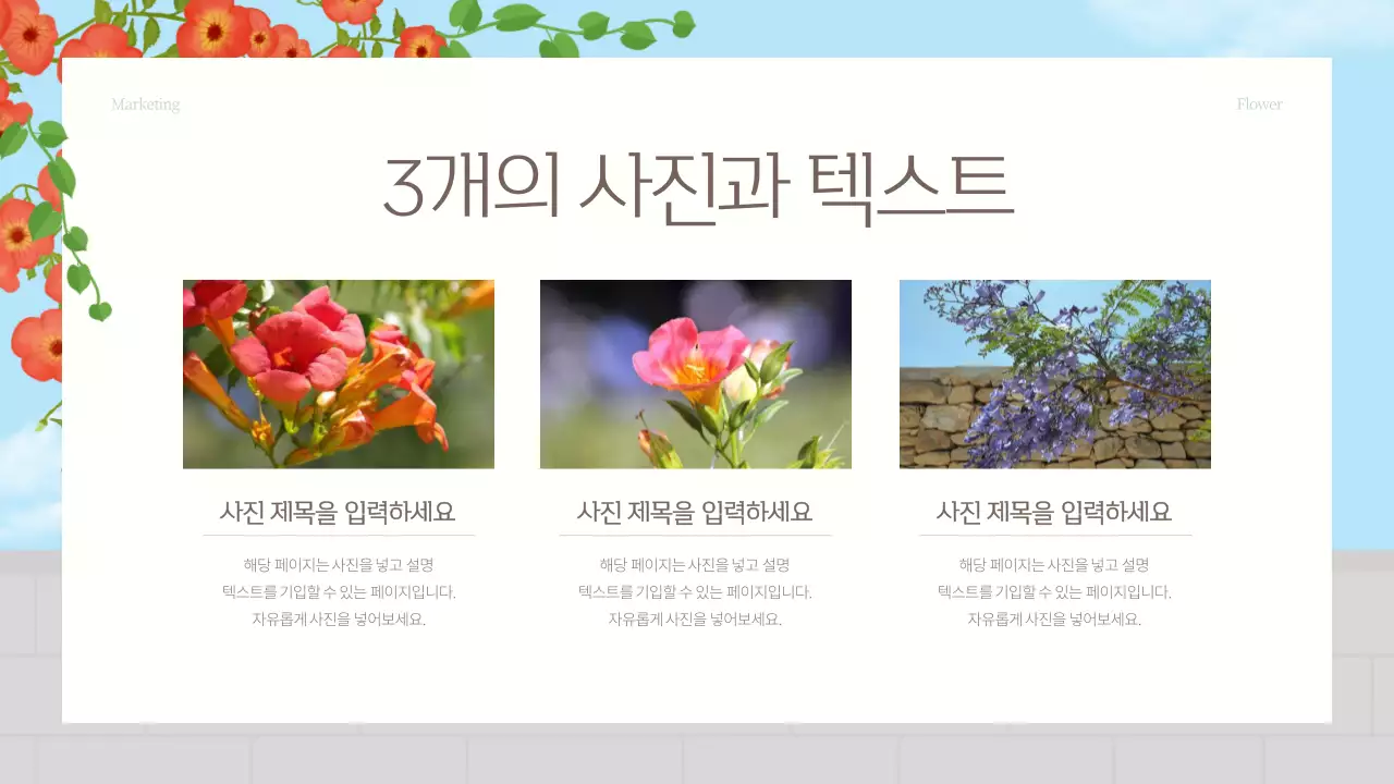 빨강과 하늘색의 아기자기한 여름꽃 마케팅 홍보