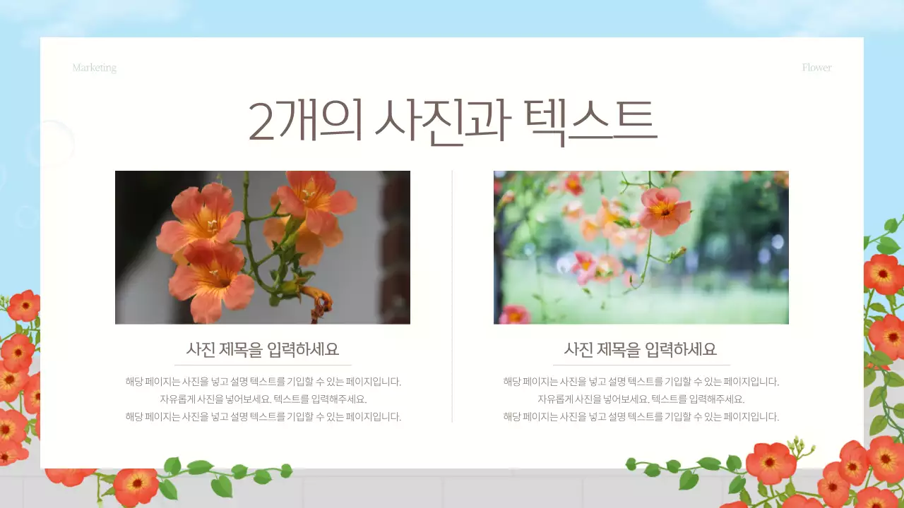 빨강과 하늘색의 아기자기한 여름꽃 마케팅 홍보