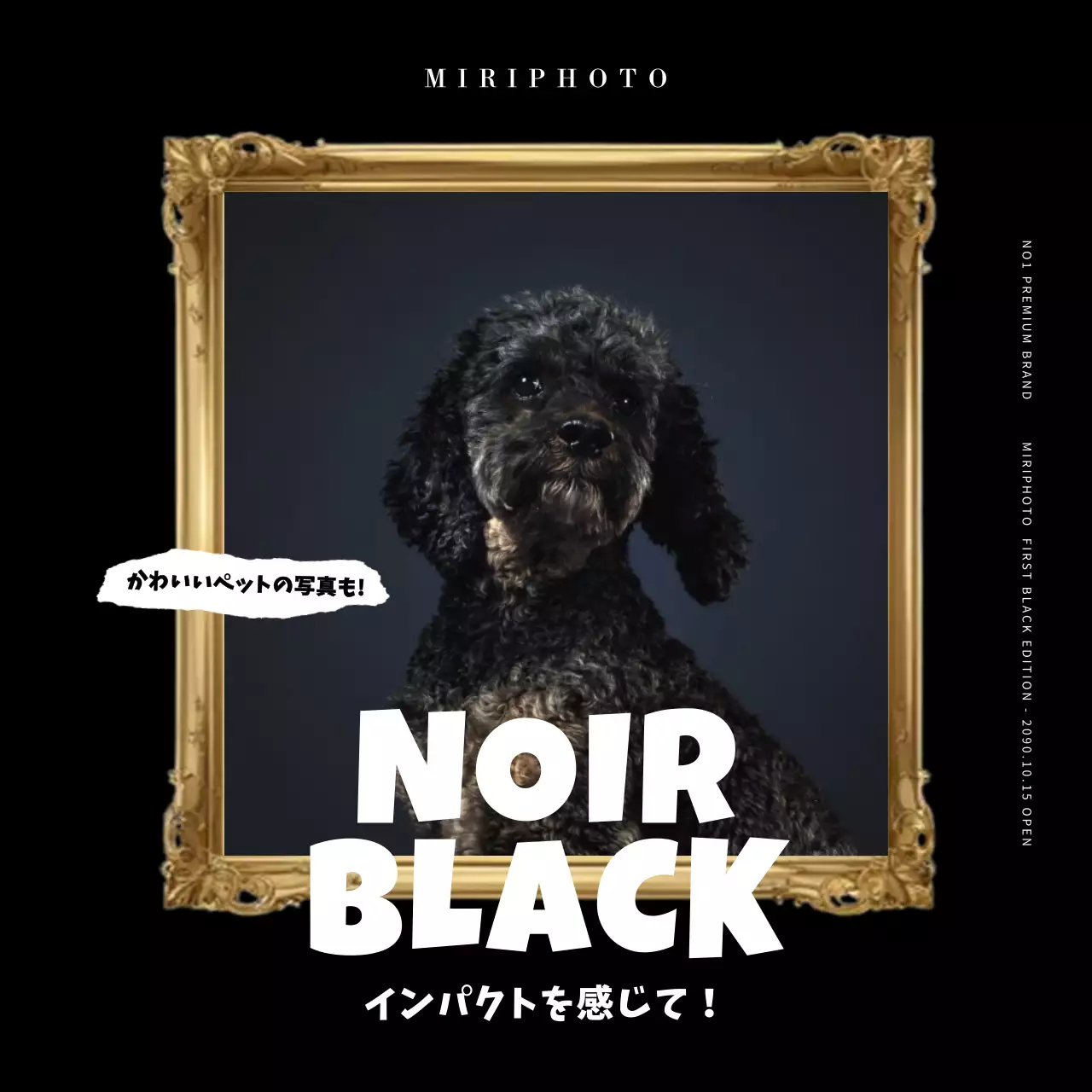 黒 クール ペット ポスター